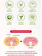 Load image into Gallery viewer, FOODOLOGY Cutting Jelly [10 sticks of 25g]
