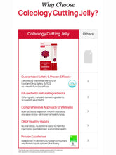 Load image into Gallery viewer, FOODOLOGY Cutting Jelly [10 sticks of 25g]
